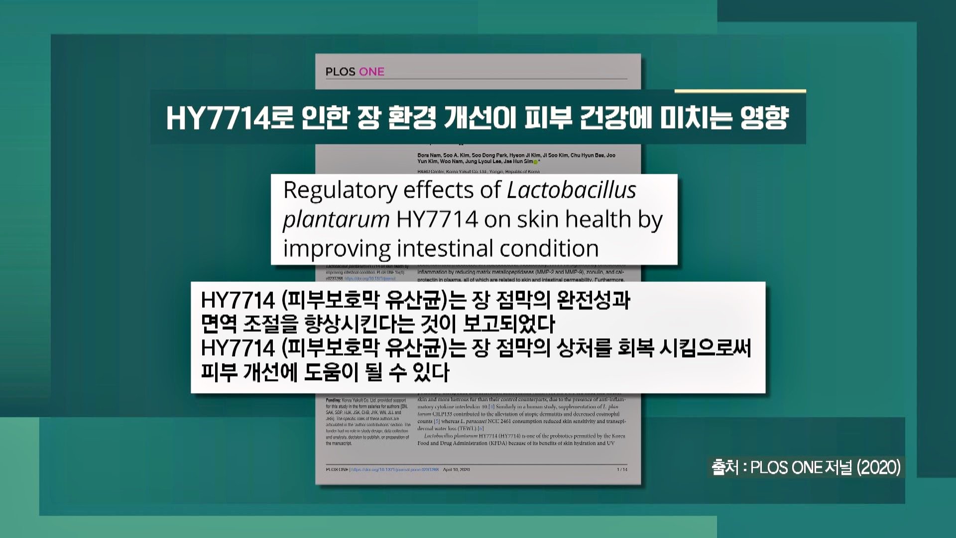 장 건강+피부 건강 도와주는 '피부 보호막 유산균(Hy7714)' | Jtbc 201025 방송 : Voda