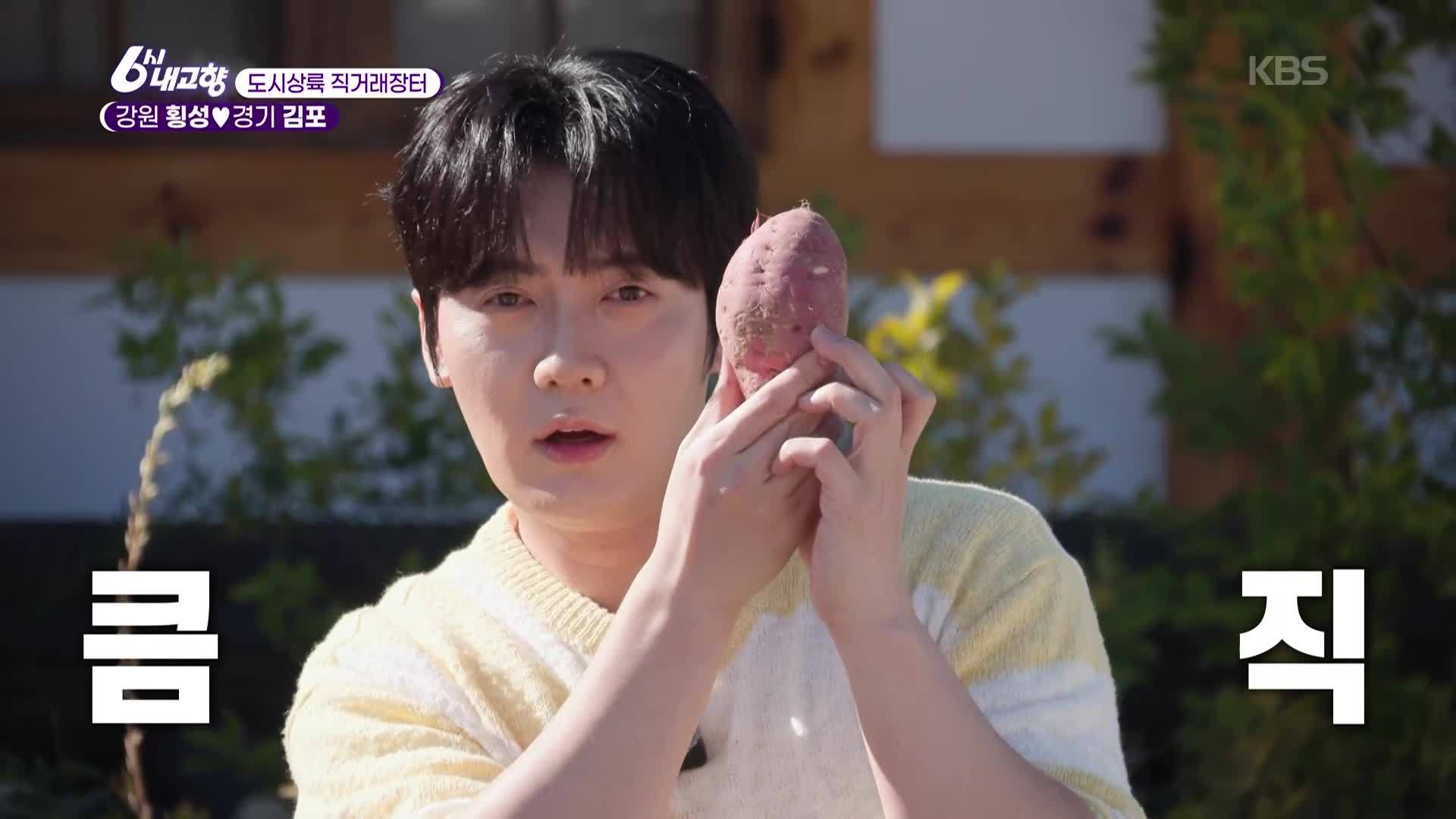 [도시상륙 직거래 장터] 트로트계 장사! 홍보 요정의 정체는? - 강원 횡성 & 경기 김포 | KBS 261012 방송  