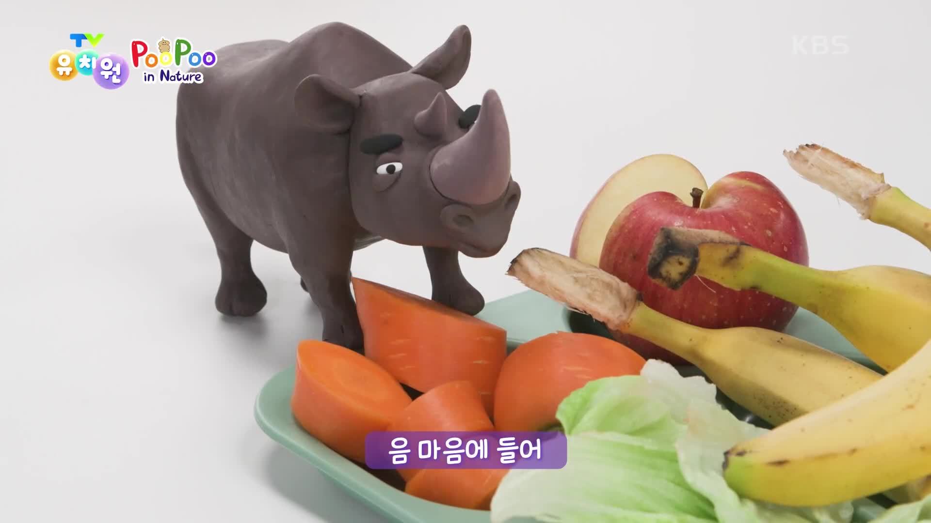 [PooPoo in Nature] 세상의 모든 똥! | KBS 241030 방송 | 보다