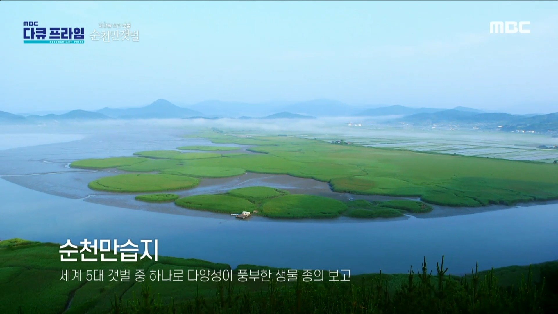 세계 5대 갯벌 중 하나인 순천만습지, 연안습지 최초로 람사르협약에 등록, MBC 230625 방송 | 보다
