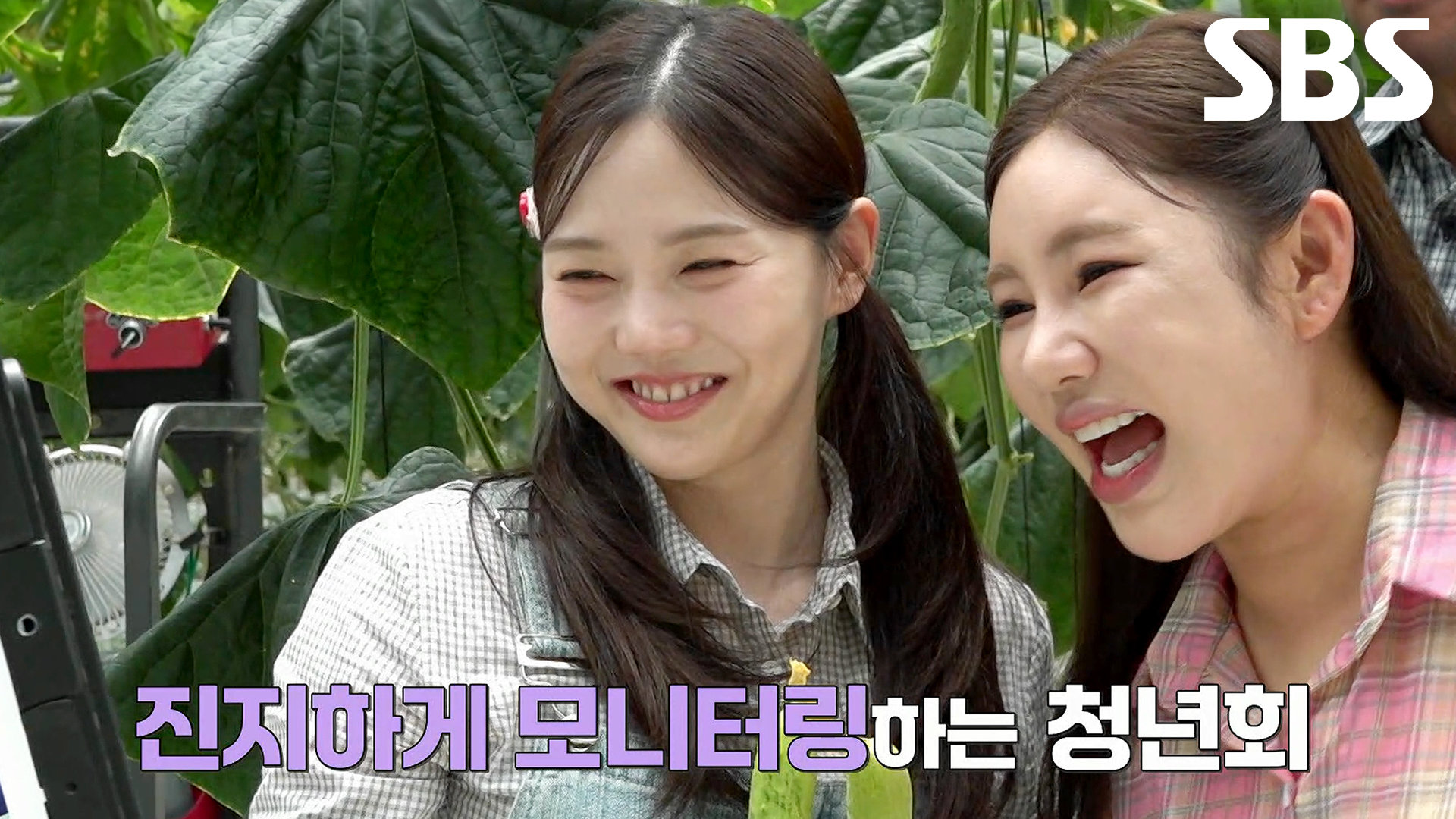 효정, 김대호×송가인×조나단 완벽 컨트롤하는 ＜오이 좋아＞ 챌린지↗ 