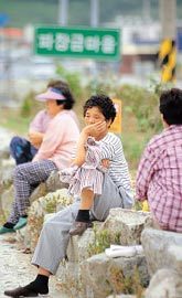 핵폐기장 찬반 ‘부안 주민 핵분열’