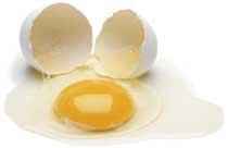 단백질의 제왕 ‘달걀’ 무조건 피하면 손해