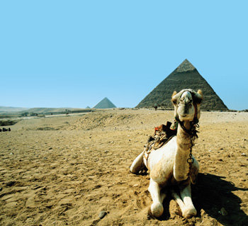 4500년의 역사 … 위풍당당 피라미드