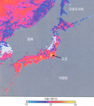일본에선 기온 급상승 때 ‘운동 중지’ 경보