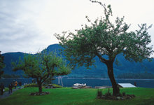 캐나다 밴쿠버 아일랜드 통나무 로지와 에코투어