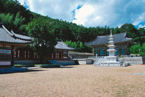 “오직 마음을 보세요, 깨달음이 거기 있습니다”