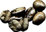 ‘커피 천국’ 파푸아뉴기니를 아세요?