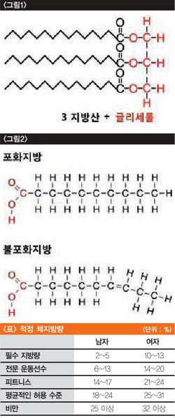 좋을 수도 나쁠 수도 지방은 계륵 같은 존재