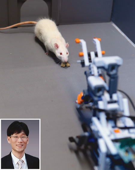 쥐에게 가장 위협적인 로봇은 뭘까?