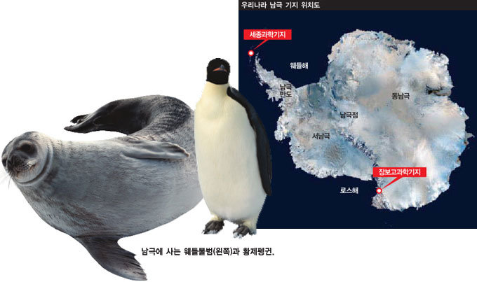 월동 특명! 남극 기후 변화를 체크하라