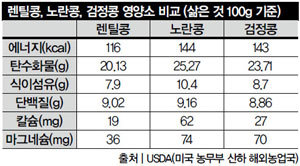 렌틸콩 진짜 슈퍼푸드 맞아?