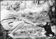 한국 찾은 침팬지의 대모 제인 구달 박사가 제안하는 ‘생명사랑 십계명’