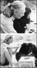 한국 찾은 침팬지의 대모 제인 구달 박사가 제안하는 ‘생명사랑 십계명’