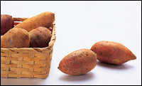 감자·고구마의 다양한 효능 & 건강법
