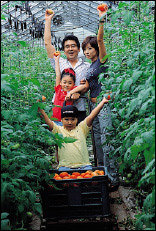‘몸짱’ 아줌마 정다연 가족의 토마토 농장 체험