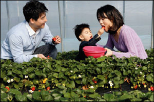 SBS 아나운서 염용석 가족의 딸기농장 체험