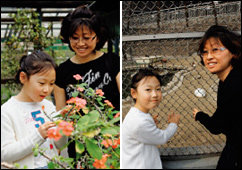 생태 공원의 모습 갖추면서 아이 체험학습장으로 각광받고 있어요~ 서울 남산 탐방