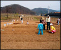 서울 근교 유기농 주말농장
