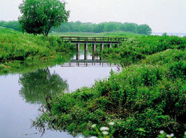 한강변 공원 & 생태체험 프로그램