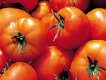 잔주름 예방해주는 토마토