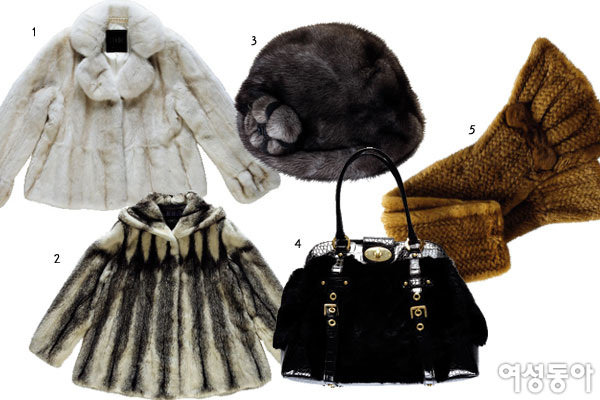 겨울만 되면 찾아오는 퍼의 유혹 Luxury Fur