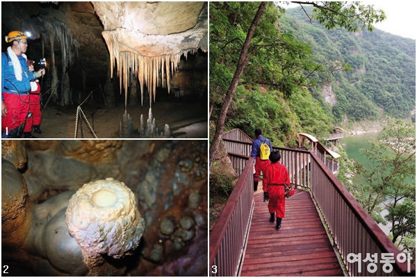 백룡동굴·어름치… 동강의 진수 찾아 떠나는 여름여행