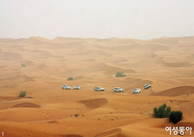 붉은 사막 위의 오아시스 두바이