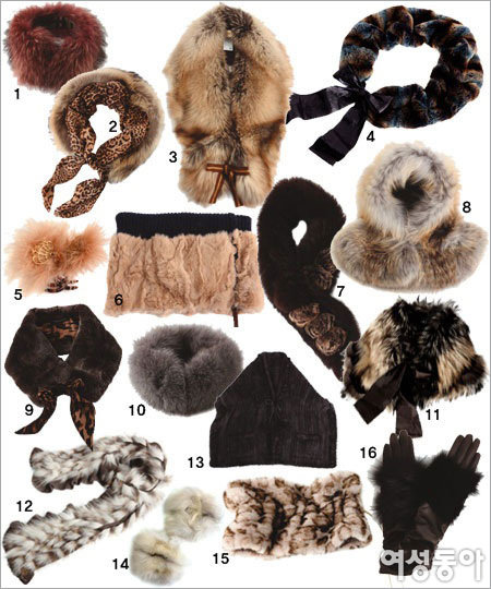 It's the Fashion, Fur