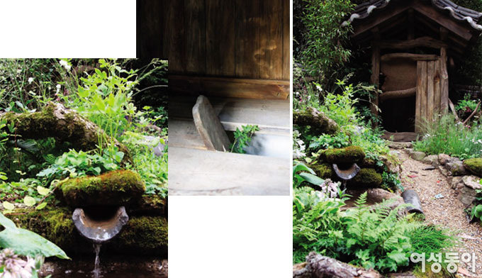 한국식 ‘뒷간’을 정원으로 끌어들인 가든 디자이너 황지해의 인생 반전