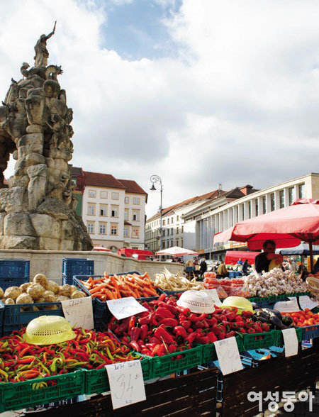 중세 유럽의 자취가 남아 있는 아름다운 도시 체코 브르노＆올로모우츠