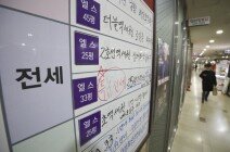 토허구역 신규지정 지역 아파트 전세가 2% 올랐다 토허구역 신규지정 지역 아파트 전세가 2% 올랐다