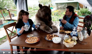 식사와 운동까지… 가족이 된 곰 “우리는 식구”