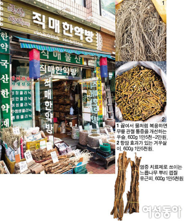 경동시장 건강 재료로 차린 밥상