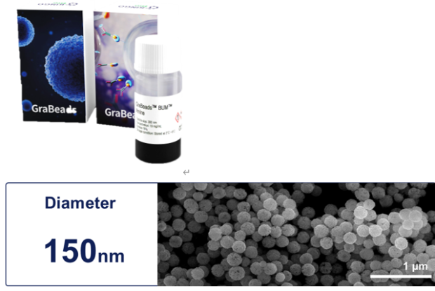 KingoBio: Leading the Next Generation of Bio Research with NGS Cleanup Beads