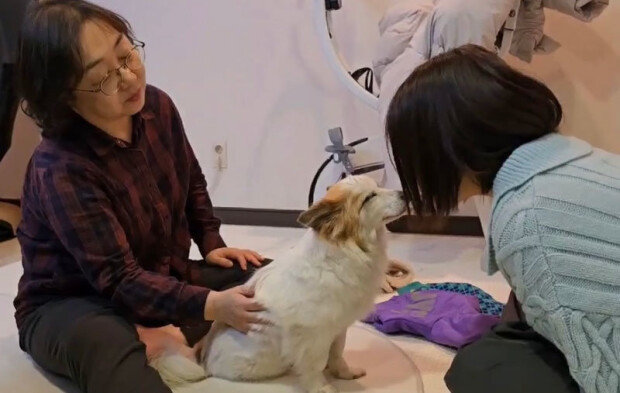 Pudding adopted, may bring small comfort to bereaved families