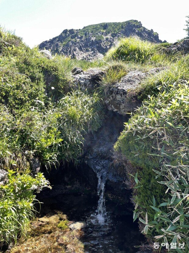 Hallasan’s highest spring opens after 55 years