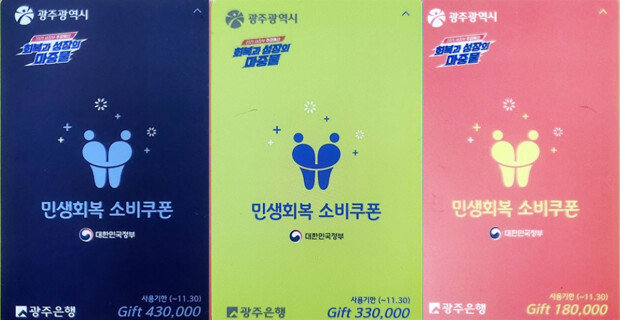 Lee criticizes local welfare cards exposing income levels