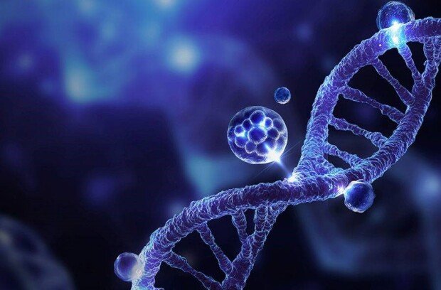 Anzaetek is targeting innovation in healthcare through Quantum AI / Source=Anzaetek