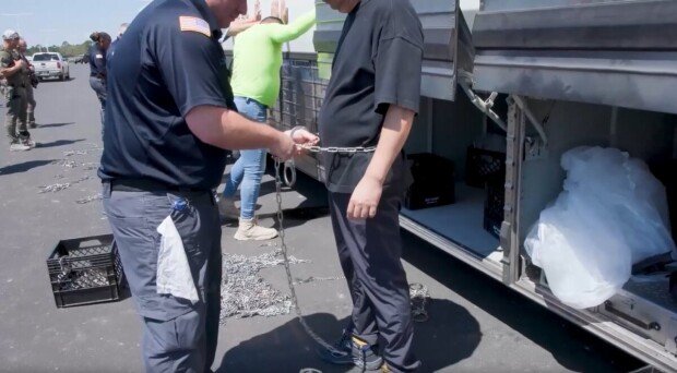 Korean worker released on bail after 22 days in Georgia detention