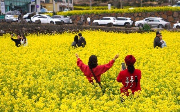 High happiness but low mobility seen in South Korea