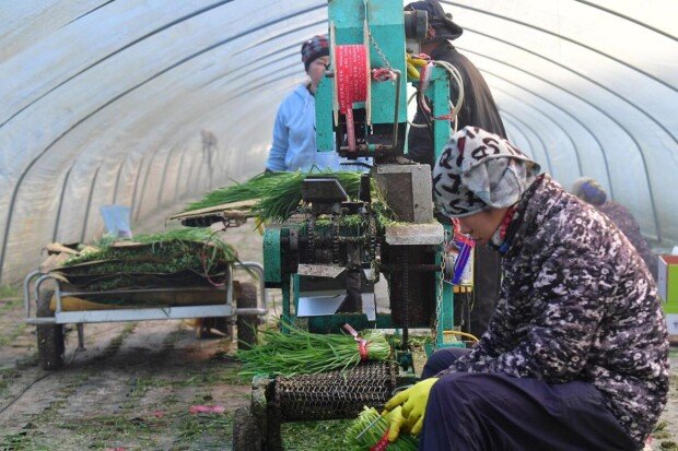 Most foreign workers in South Korea earn under 3 million