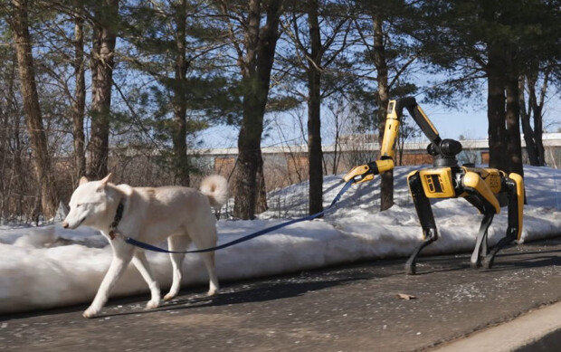 AI-powered robot dog Spot performs tasks