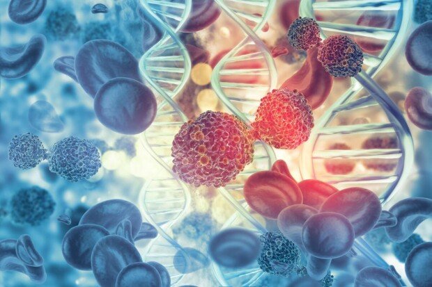 Scientists reveal how leukemia drugs kill cells
