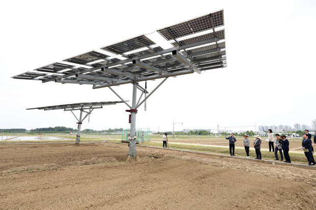 Renewable energy push risks outpacing practical constraints