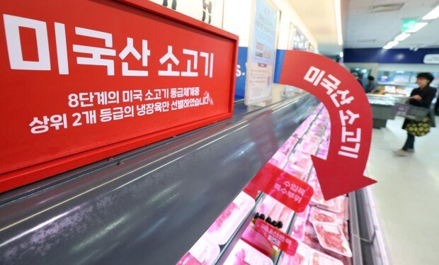 30개월이상 美소고기 수입 검토