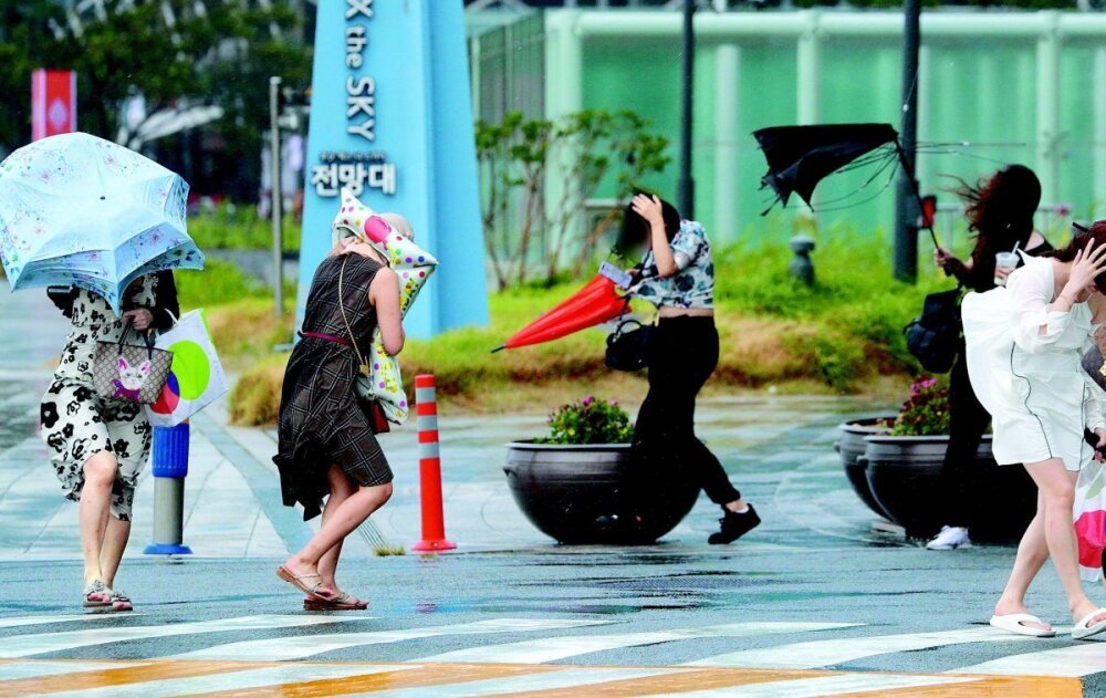 “每秒40米強風 600毫米雨水炸彈”……臺風“卡努”今天襲擊韓半島 東亞日報