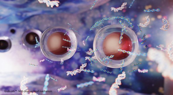 KingoBio: Leading the Next Generation of Bio Research with NGS Cleanup Beads