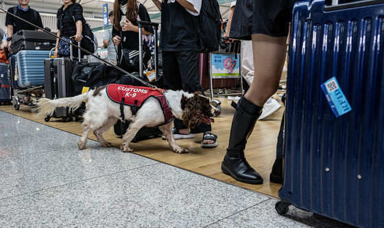 Record narcotics seized in Korea’s first half
