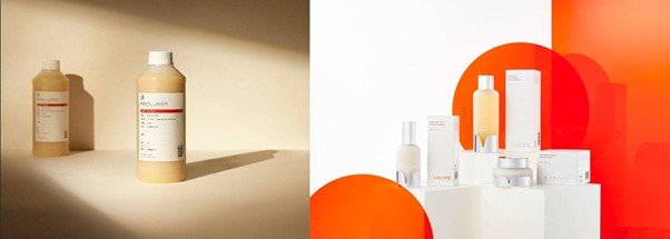 PENELLAGEN: A Cosmetic Ingredient Fusing Starfish-Derived Collagen with Transdermal Delivery Technology / source=STARSTECH